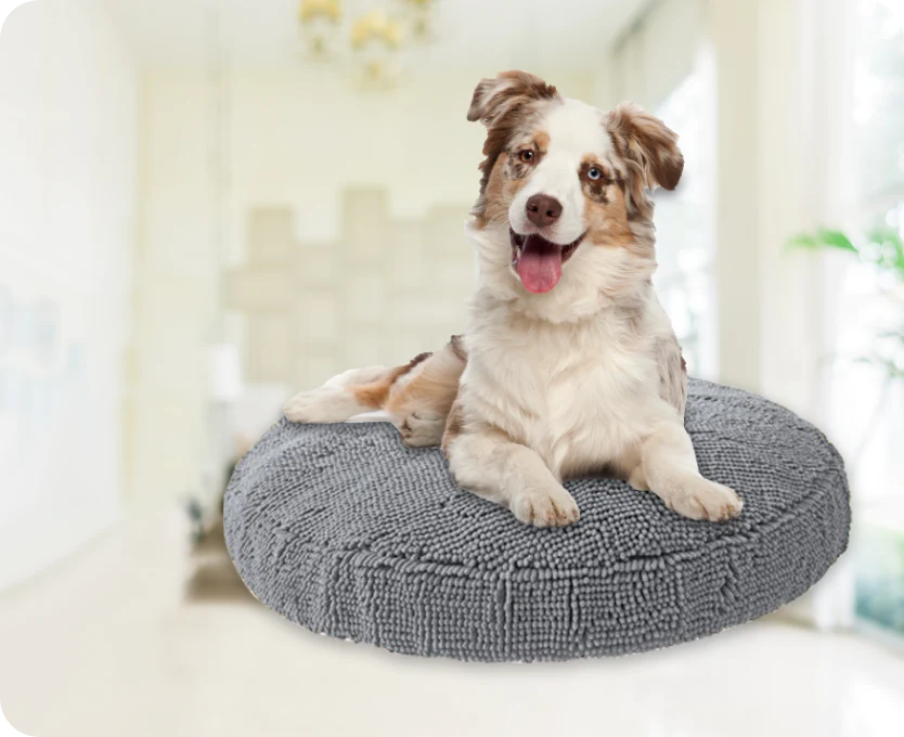 DogBuddy dogbuddy dog door mat, ultra absorbent dog mat